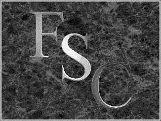 [comp11.gif]